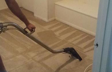 Carpet Cleaning